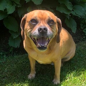 Meet your Posher, Kyle